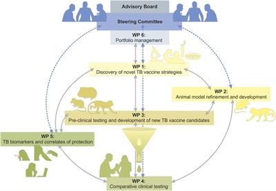 TBVAC2020: Advancing Tuberculosis Vaccines from Discovery to Clinical Development